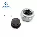 Anti-theft Nut - Shuaiyu Fastener Manufacturing Co., LTD.